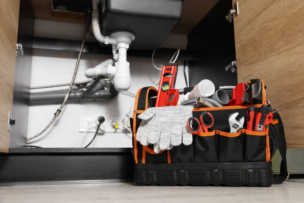 Best Plumbing Inspection Services  in Shenandoah, TX